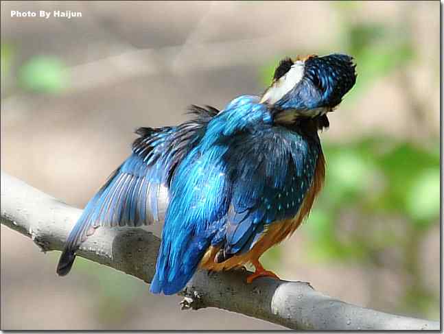  点击图片或使用键盘← →翻页