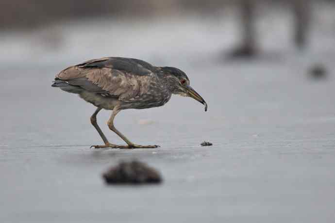 以大欺小&nbsp;wbr倚强凌弱