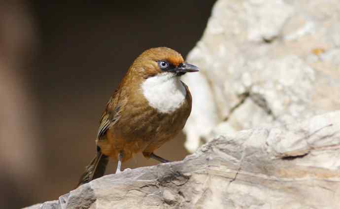 鈥溎稚酵踱澰诰┏堑某聊兆