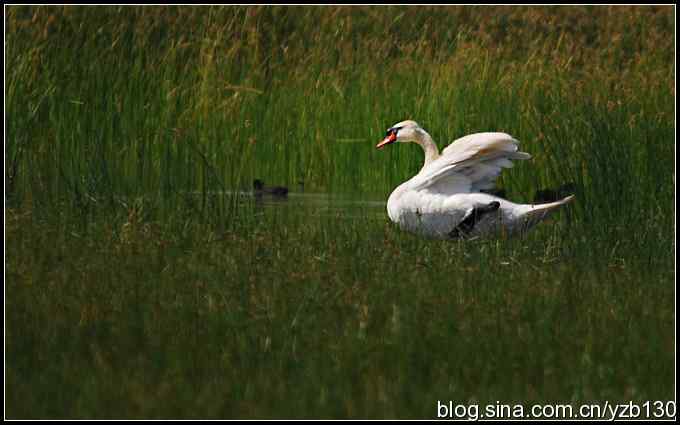 为舟曲遇难同胞默哀（组图）