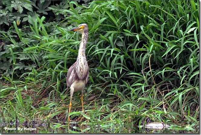  点击图片或使用键盘← →翻页