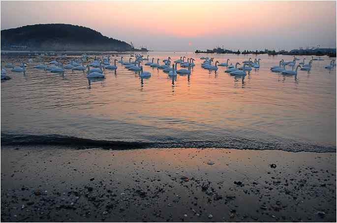 点击图片或使用键盘← →翻页