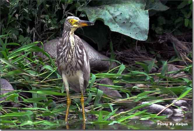  点击图片或使用键盘← →翻页