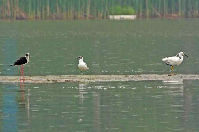 和谐 wbr wbr记录版 wbr wbr（2）