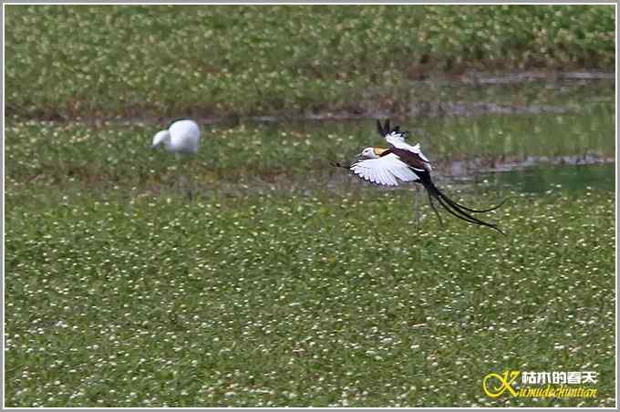 记录鈥溗翕潯菊掌
