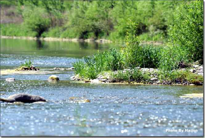 点击图片或使用键盘← →翻页