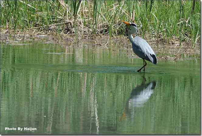  点击图片或使用键盘← →翻页