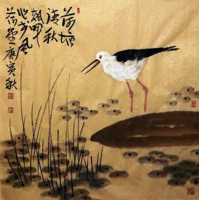 周朝晖先生为美腿鹬作画