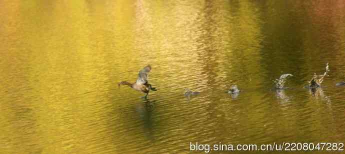 185.再见了小！