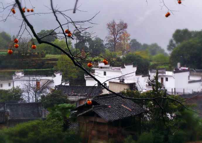 初冬婺源一日印象
