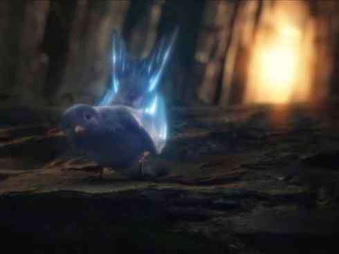 猎奇：十大奇异鸟类之四