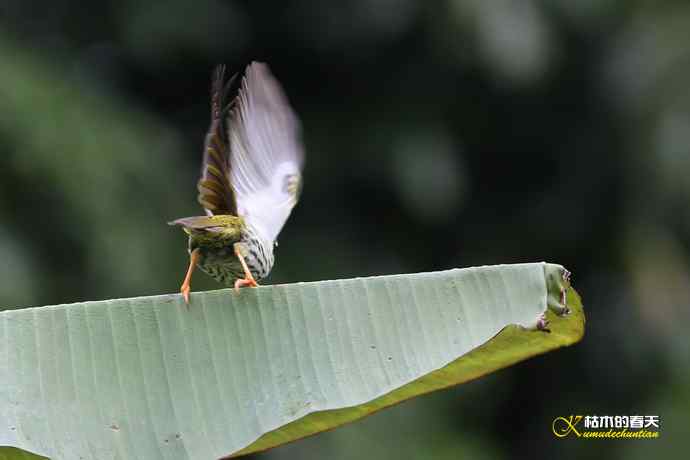 记录鈥溛票巢吨肽疋 记录鈥溛票巢吨肽疋