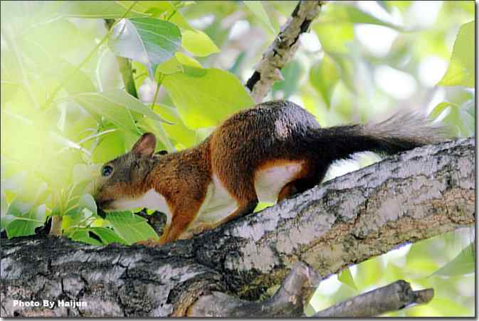  点击图片或使用键盘← →翻页