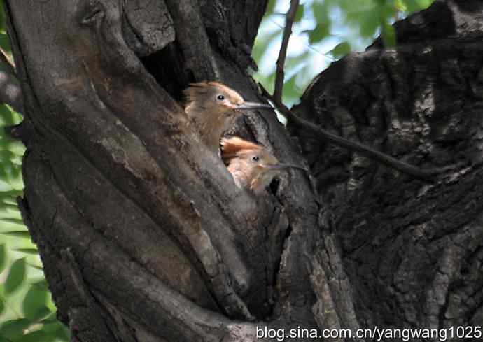 期盼（20分钟纪实片）