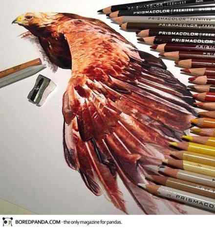 水溶彩铅动物绘画