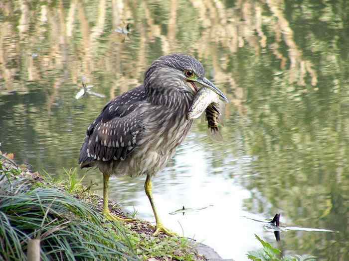 杭州老郑摄影续