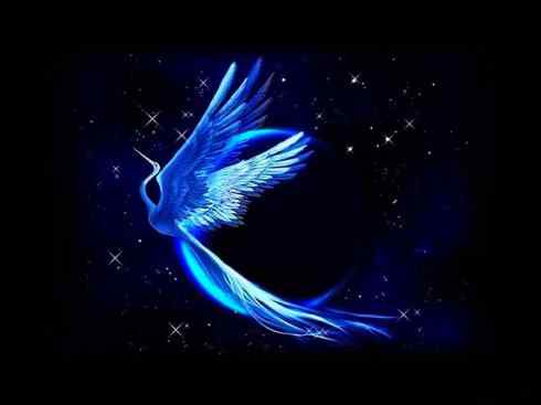 凤凰：传说的鸟