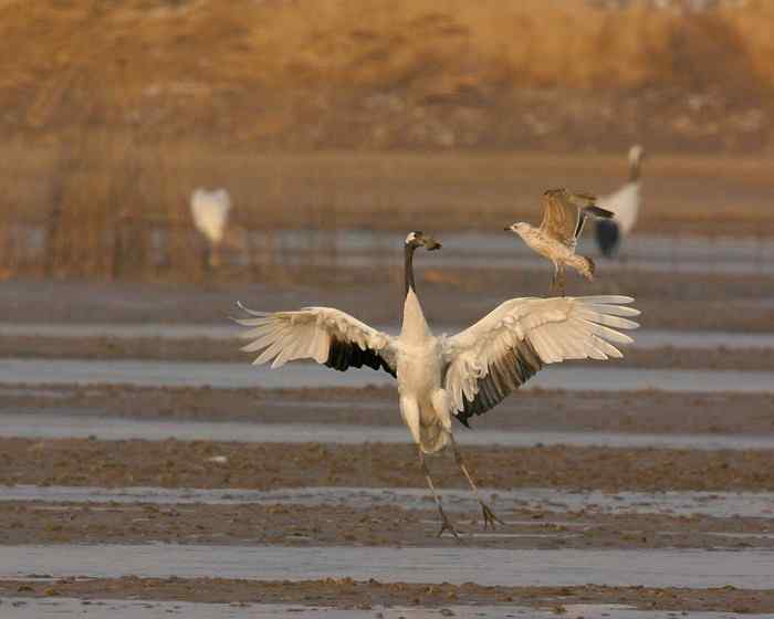 杭州老郑摄影续
