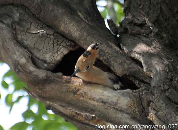 期盼（20分钟纪实片）