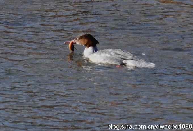 岁末再访白河峡谷 岁末再访白河峡谷