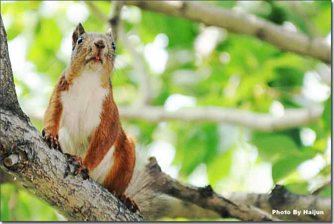  点击图片或使用键盘← →翻页