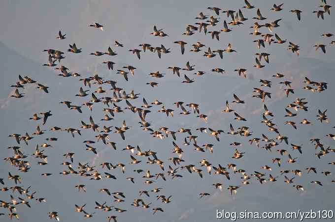 今日野鸭湖鈥斺敶筇於欤ㄗ橥迹20张图片）