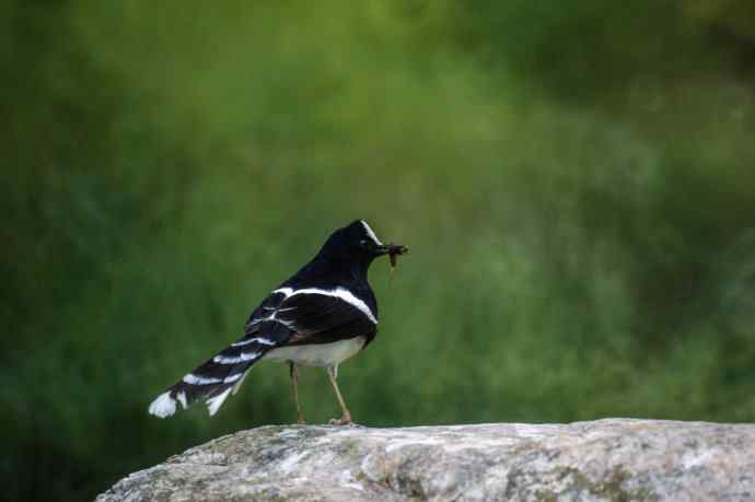 洋县朝圣鈥斺斢葡锌炖值陌锥钛辔拆