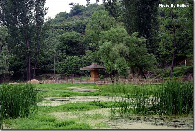  点击图片或使用键盘← →翻页