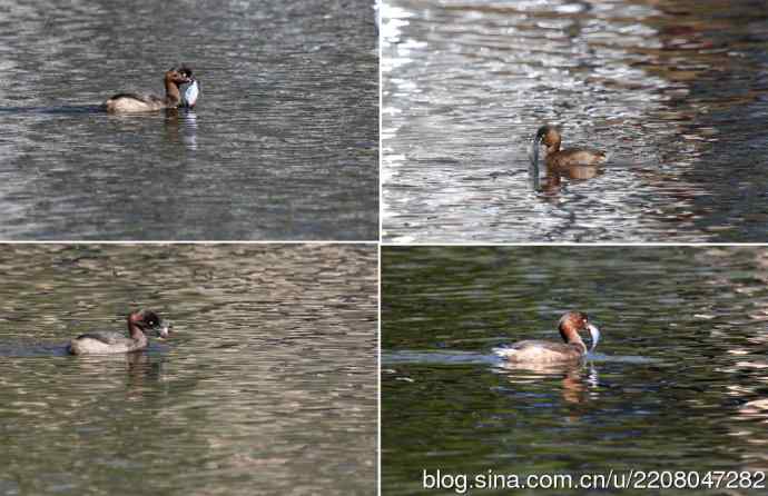 185.再见了小！