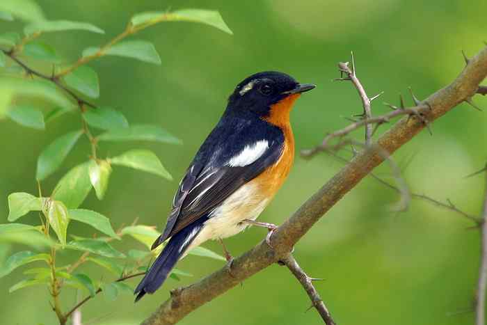 杭州老郑摄影续