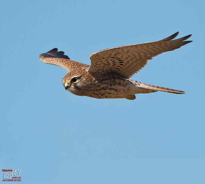 官厅水库 wbr路 wbr金秋十一猛 官厅水库 wbr路 wbr金秋十一猛