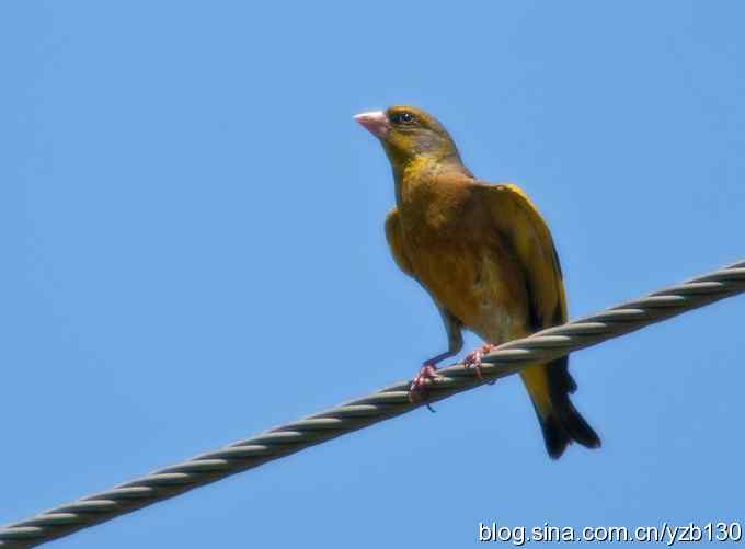 白河峡谷一日游（组图，11张图片）