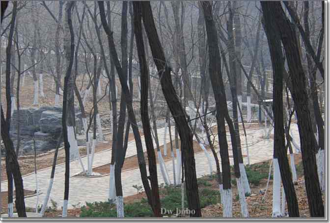 点击图片或使用键盘← →翻页