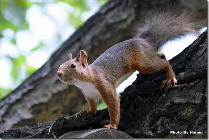  点击图片或使用键盘← →翻页