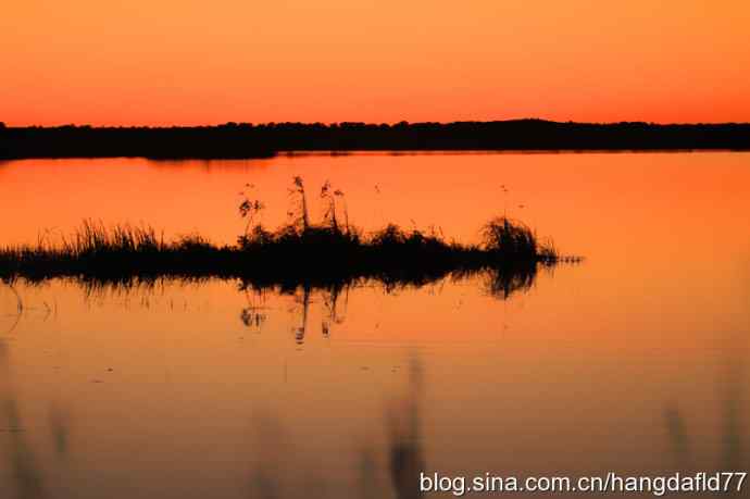 晚霞路湖泊路天鹅