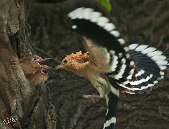 敬畏生命 敬畏生命