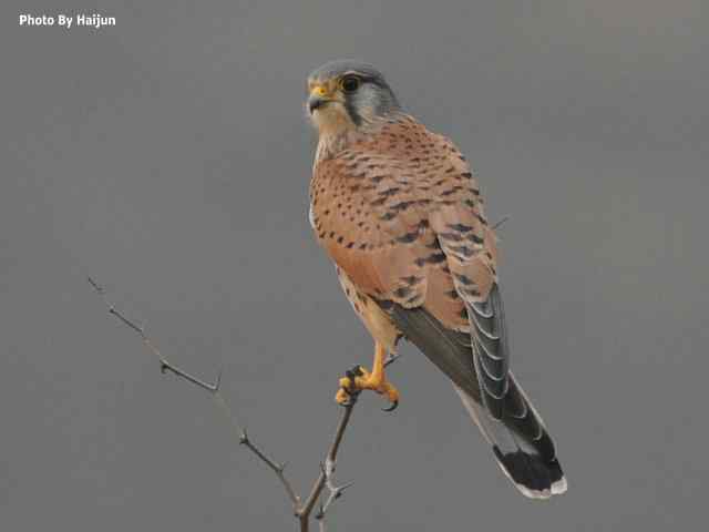 游走山水 猎摄河湾