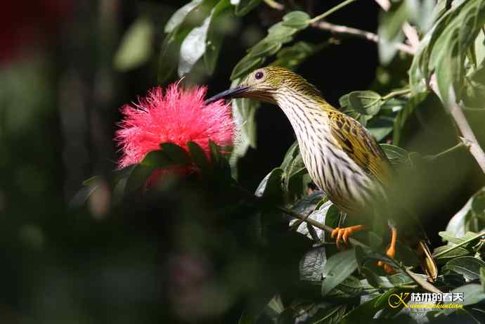 记录鈥溛票巢吨肽疋 记录鈥溛票巢吨肽疋