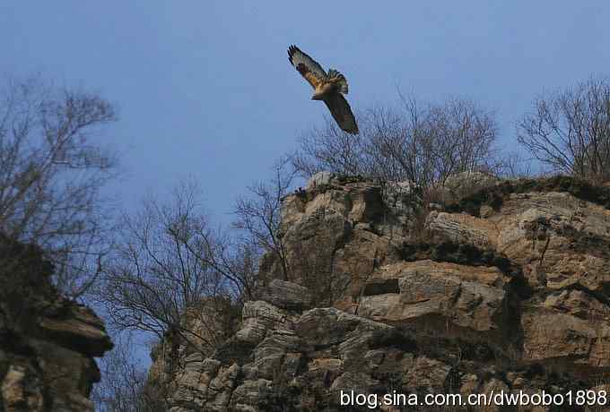 山光悦鸟性 wbr偶心竞翔飞 山光悦鸟性 wbr偶心竞翔飞