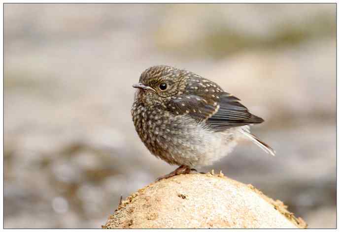 【I 'd never find a love like this】（父爱如山）