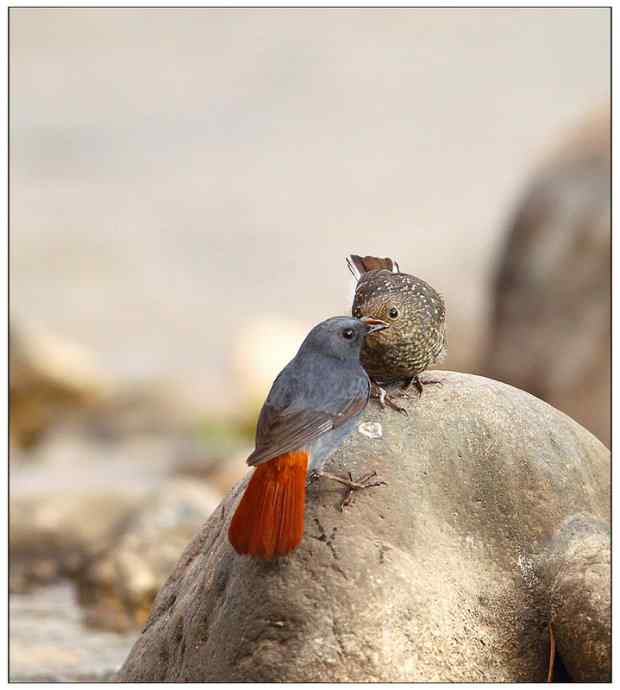 【I 'd never find a love like this】（父爱如山）