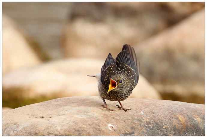 【I 'd never find a love like this】（父爱如山）