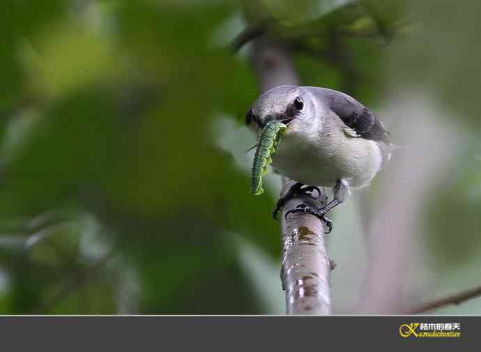 拍鈥溁疑浇纺疋澕侨ぁ菊掌