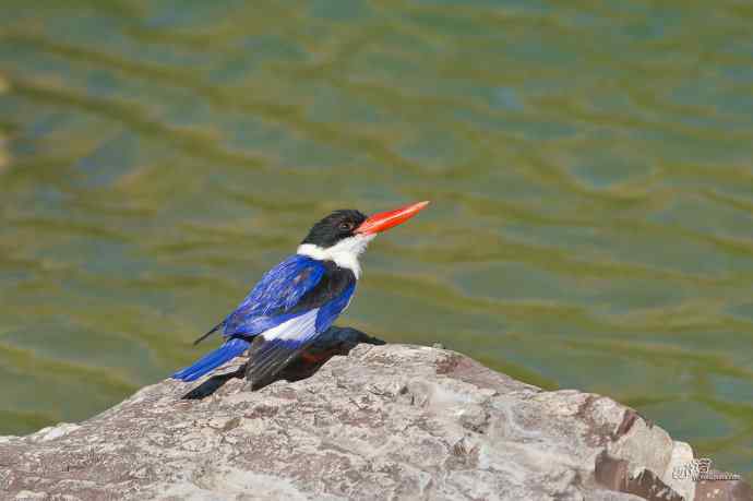 幽谷蓝妃出浴图 幽谷蓝妃出浴图