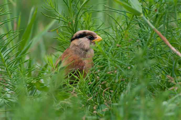萌态可掬的鈥溦鸬┬∪糕☆★ 萌态可掬的鈥溦鸬┬∪糕☆★