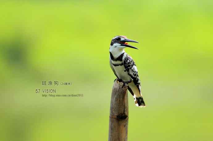 逆光下的鈥湽饭封濃斺敯哂婀