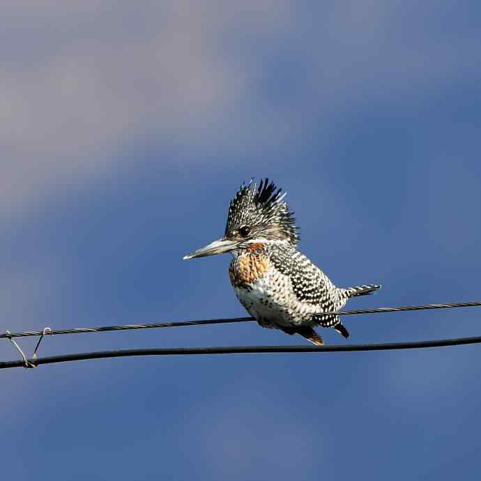 盘点我的2012年(外一篇) 盘点我的2012年(外一篇)