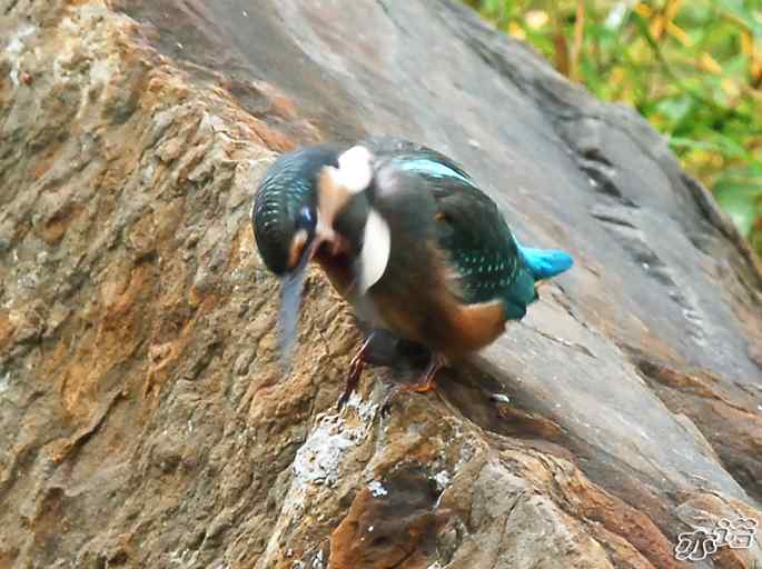 圆明园&nbsp;wbr路&nbsp;wbr小翠的进与出