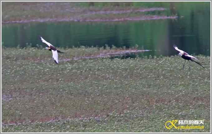 记录鈥溗翕潯菊掌