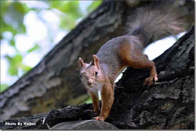  点击图片或使用键盘← →翻页